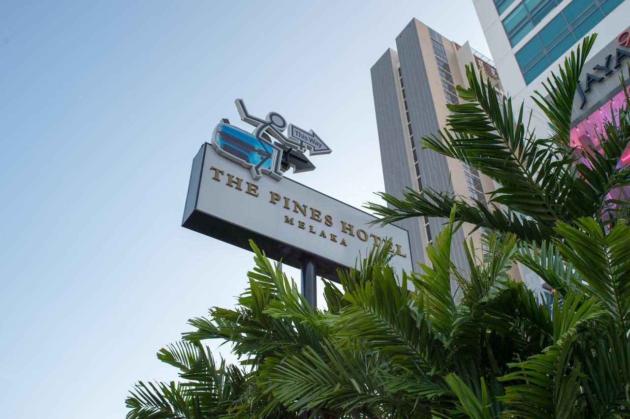 Hotel The Pines 4*